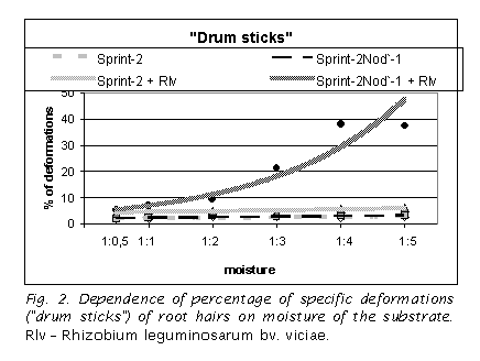 Text Box:  
Fig. 2. Dependence of percentage of specific deformations ("drum sticks") of root hairs on moisture of the substrate. Rlv  Rhizobium leguminosarum bv. viciae.
